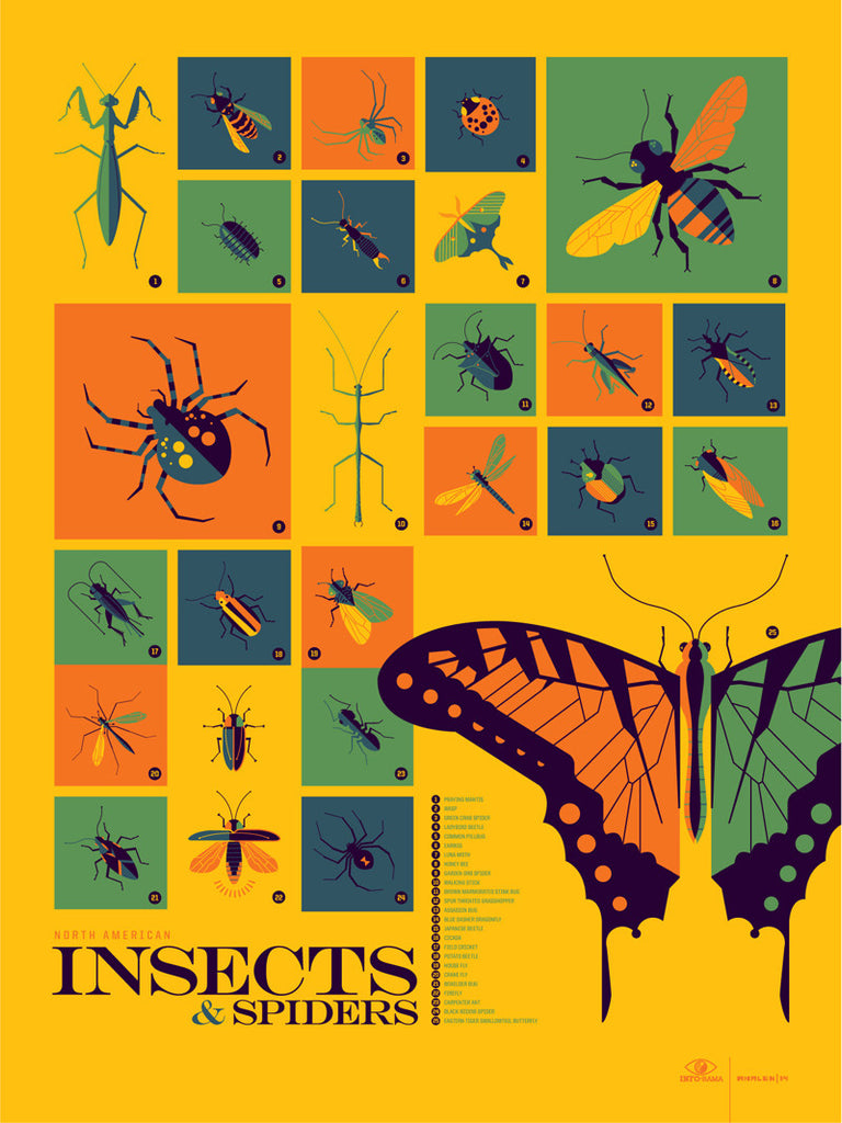 Insects and Spiders Infographic Poster by Tom Whalen